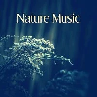 Nature Music – Mother Nature, Calm Sounds of Nature and Water Sounds