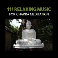 111 Relaxing Music for Chakra Meditation – Balanced Sounds, Yoga Poses for Beginners, Kundalini Awakening, Guided Sleep Meditation