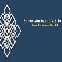 Sunan Abu Daoud Vol 10