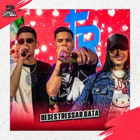Desestressar Gata