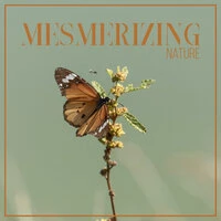 Mesmerizing Nature - Stay Close to Nature Feel Amazing Relaxation with New Age Music 2021