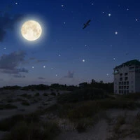 20 Relaxing Tracks for Anxiety Relief and Deep Focus