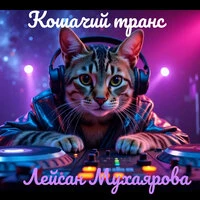 Кошачий транс