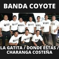 La Gatita / Donde Estas / Charanga Costeña