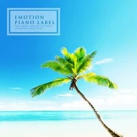 Study Music That Offers Comfort