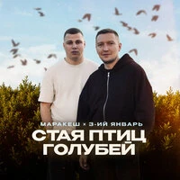 Стая птиц голубей