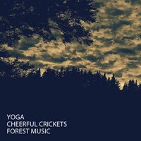 Yoga: Cheerful Crickets Forest Music