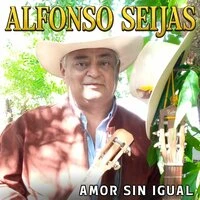 Amor Sin Igual