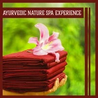 Ayurvedic Nature Spa Experience – Shiatsu Massage, Sauna Music Moods, Relaxing Bath Time, Wellness Treatment in Green Garden