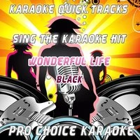 Karaoke Quick Tracks : Wonderful Life