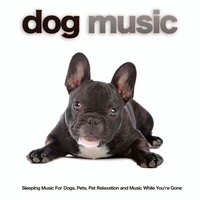 Dog Music: Sleeping Music For Dogs, Pets, Pet Relaxation and Music While You're Gone