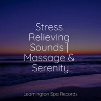 Stress Relieving Sounds | Massage & Serenity