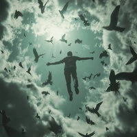 The sky