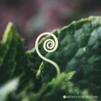 Méditation en ligne: Attirez des vibrations positives, Esprit calme, Soulagement du stress, Musique apaisante