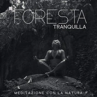 Foresta tranquilla: Meditazione con la natura