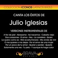 Canta los Exitos de Julio Iglesias