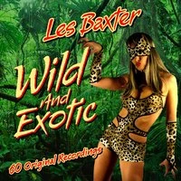 Wild and Exotic
