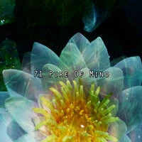 71 Чистый разум