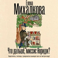 Елена Михалкова. «Что дальше, миссис Норидж?»