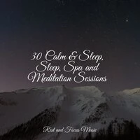 30 Calm & Sleep, Sleep, Spa and Meditation Sessions