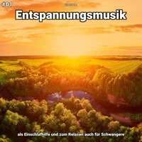 #01 Entspannungsmusik als Einschlafhilfe und zum Relaxen auch für Schwangere