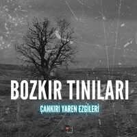 Bozkır Tınıları 3