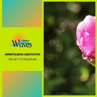 Mindfulness Meditation - The Key to Discipline