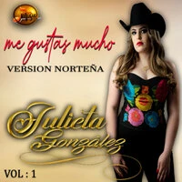 Me Gustas Mucho, Vol. 1