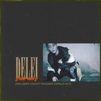 DE LEI