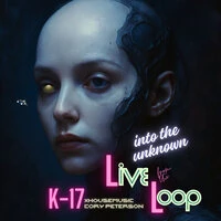 Into the Unknown K-17