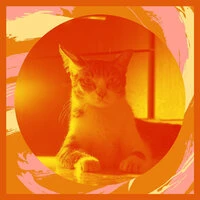 Backdrop for Comfy Cats - Sensational Trumpet and Alto Sax