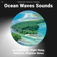 #01 Ocean Waves Sounds for Relaxation, Night Sleep, Wellness, Neighbor Noise