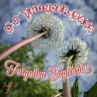 Forgotten Euphoria