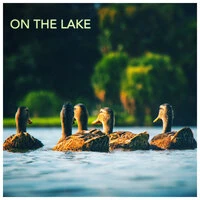 On the Lake