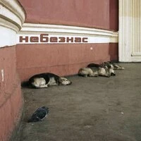Небезнас