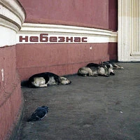 Nebeznas (Небезнас)