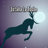 Estalla La Noche