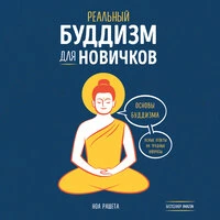Ноа Рашета. «Реальный буддизм для новичков. Основы буддизма. Ясные ответы на трудные вопросы»