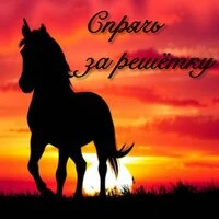 Спрячь за решётку