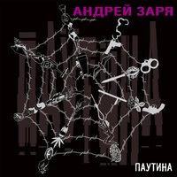 Паутина