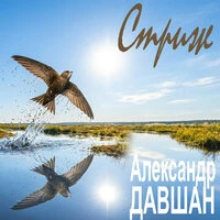 Стриж