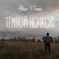 Темной ночкой