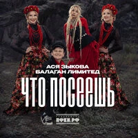 Что посеешь
