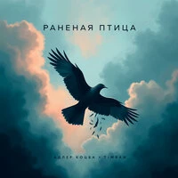 Раненая птица