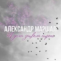 А дома зацвела сирень