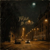 Уйди в ночь