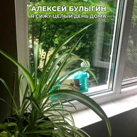 Я сижу целый день дома