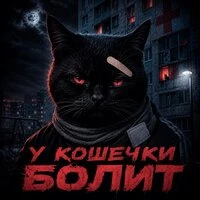 У кошечки боли у собачки боли (мем)