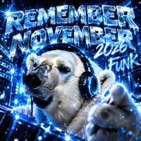 REMEMBER NOVEMBER 2026 FUNK