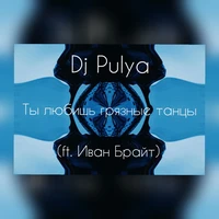 Ты любишь грязные танцы